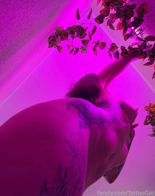 Tattoogirl - Fansly - 03 Jun, 2023 3