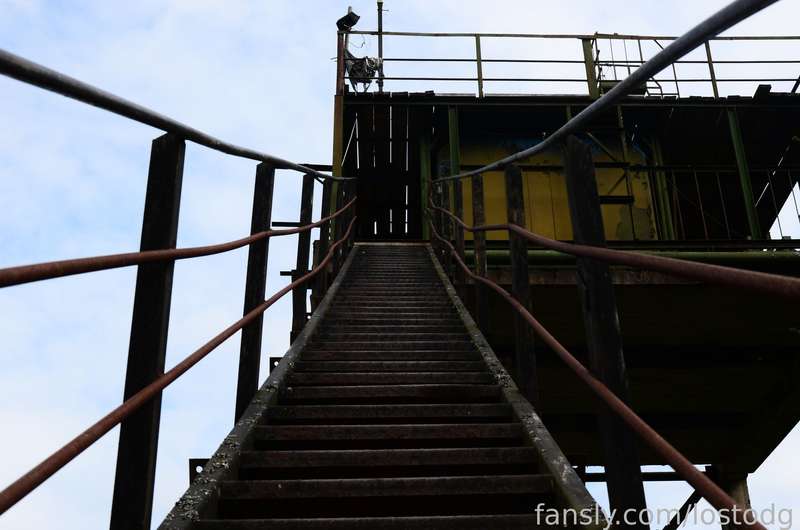 Lostodg - Fansly - 14 Aug, 2024 12