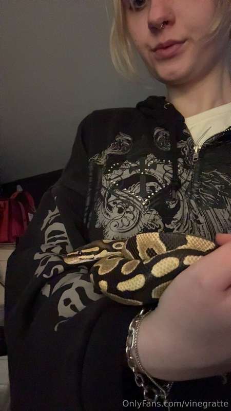 I got a snek guys 