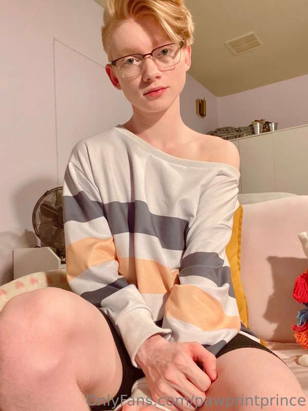 Pawprintprince - Onlyfans - 19 Oct, 2022 9