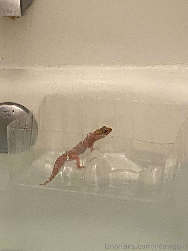 Did I mention that sometimes when I take a bath I bring my p..