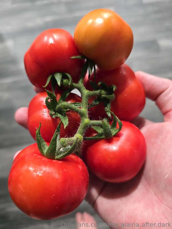 We've got an absolute overload of homegrown tomatoes right n.. 4