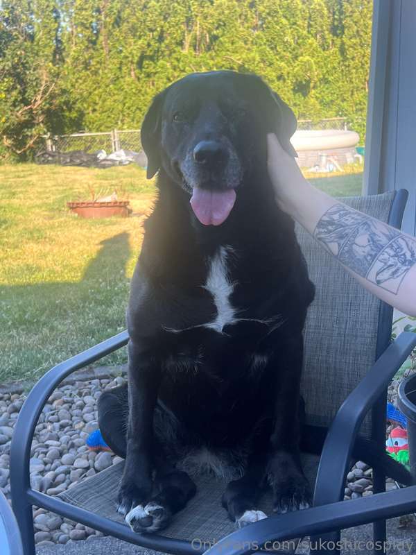 working out again. Also Maggie may is enjoying this weather 1