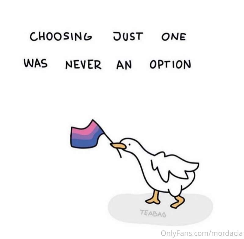 Pride + Untitled Goose Game? Perfect memes 🤣

🏳️‍🌈 This is m..