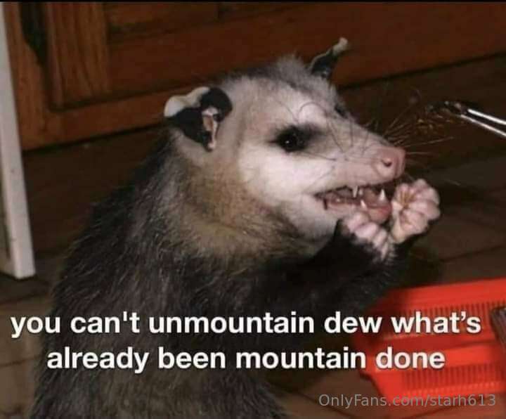 🦝🦝🦝 9