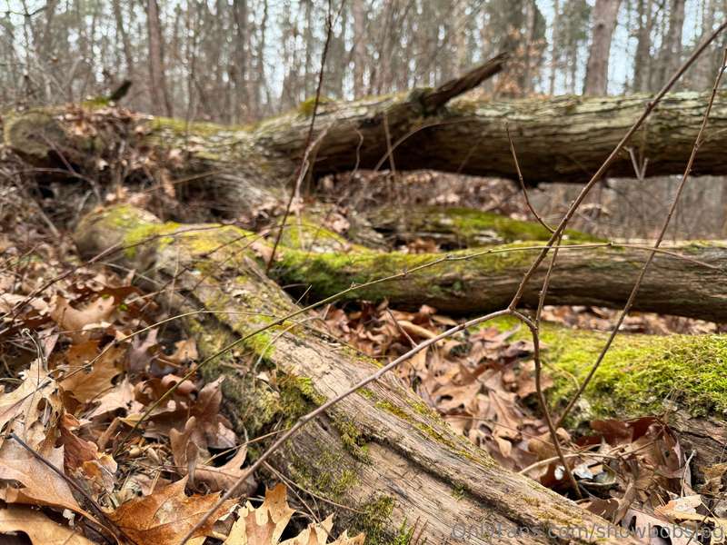 went for a hike today (swipe for nature pics) 1