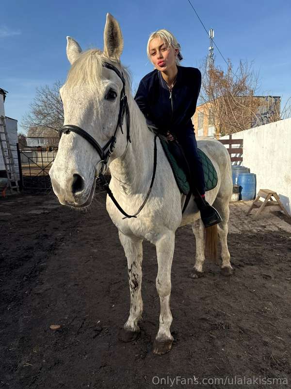 Riding this stallion? Easy 🐎