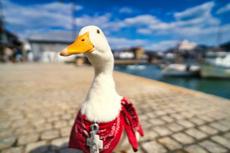 鞆の浦・呉その2 27