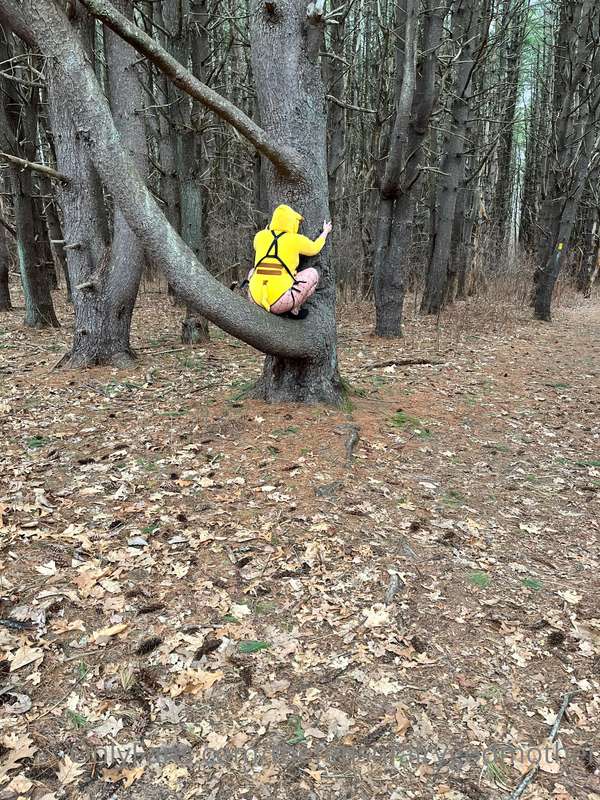 Peggachu!!! In the wild being feral!! 35