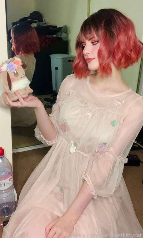 Thecutestkittycat - Fansly - 12 Dec, 2021 16