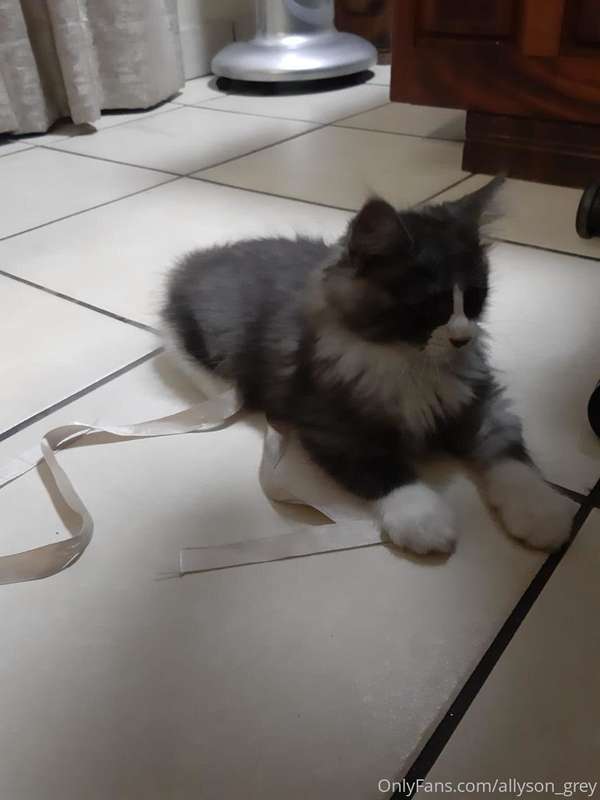 Heres my pussy. Be nice😛 1