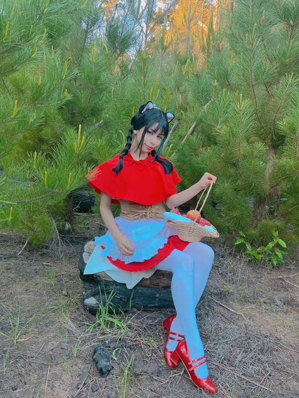 Miau , Me perdí en el bosque me ayudas a volver 🥺 6