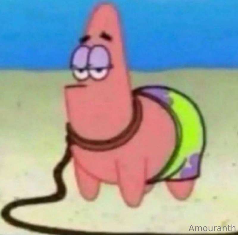 woke up in search of a patrick. very flexible role 😭