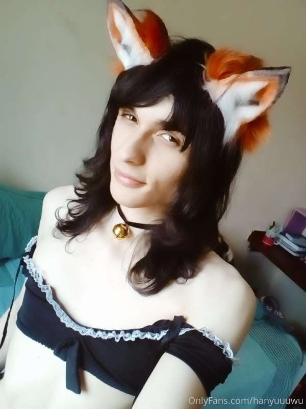 what the fox says?