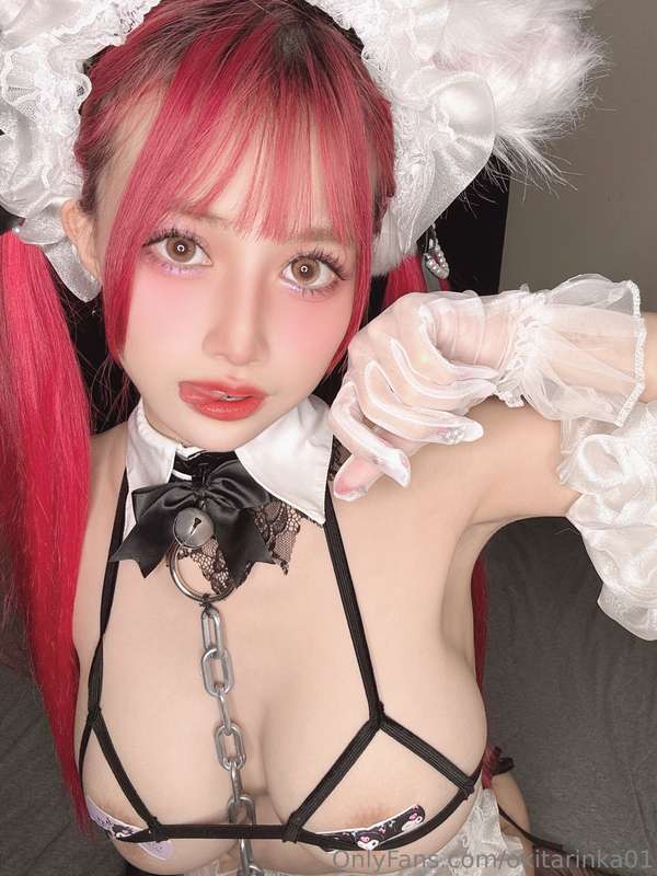 🐈🐈🐈 21