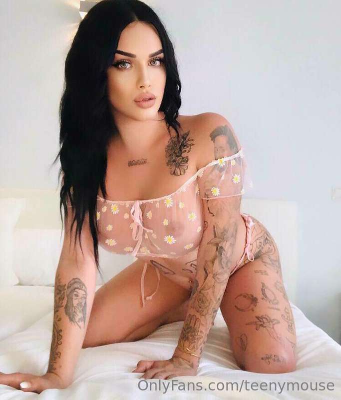 𝙏𝙎 🏳️‍⚧️ 𝐅𝐑𝐄𝐄 ‼️
𝐒𝐔𝐁𝐒𝐂𝐑𝐈𝐁𝐄 𝐍𝐎𝐖🔥 

@thequeen_officiial
@thequ..