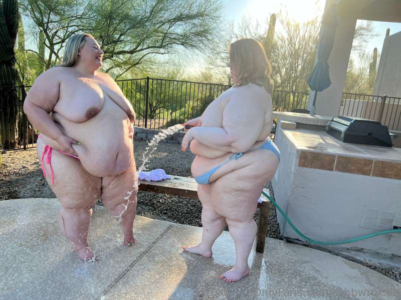 🐖 Hosing down the hogs! 🐷 

It’s *so hot* in Arizona! @lisal.. 5