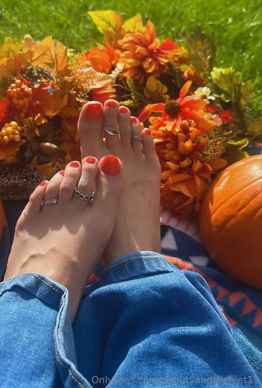 Fall is my favorite season! What about you?? 1
