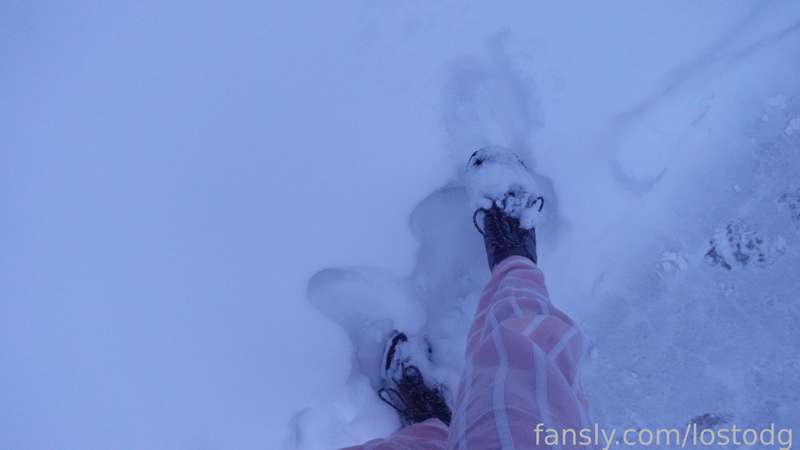 Lostodg - Fansly - 26 Feb, 2023 10