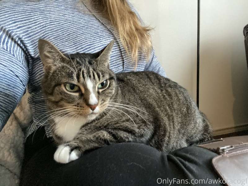 Melanie says you can look but don’t touch 😺