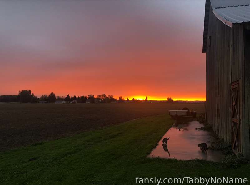 Tabbynoname - Fansly - 18 Oct, 2021