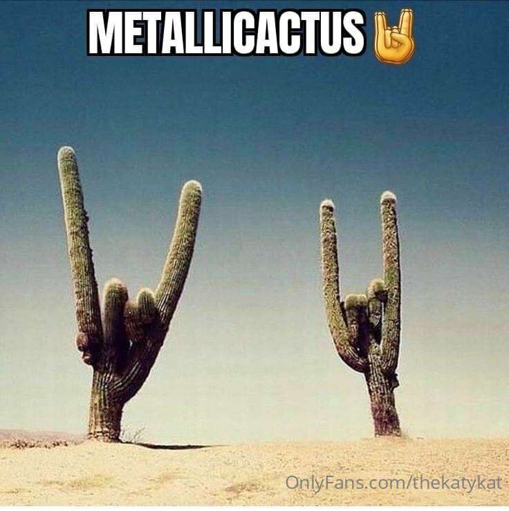 Memes! 10