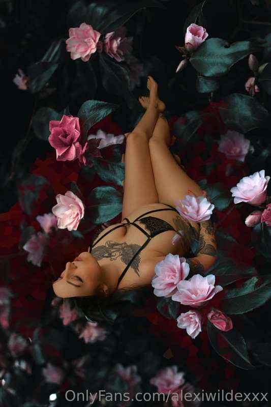 Alexiwildexxx - Onlyfans - 19 Apr, 2023