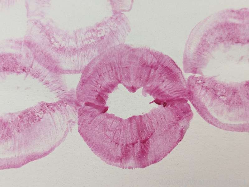 Lovelywatermelon1 - Fansly - 02 Jan, 2024 14