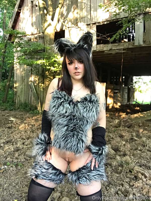The big bad wolf will huff and puff and blow more than your .. 40