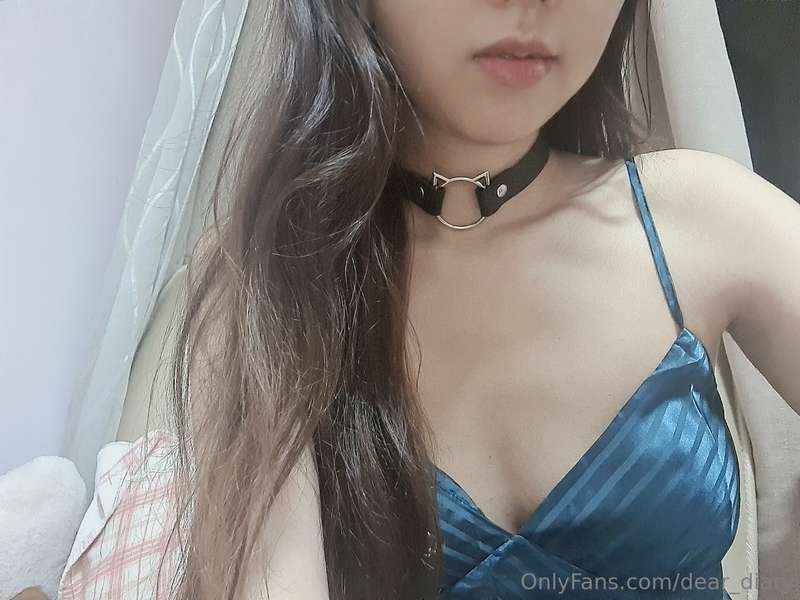 🐈 2