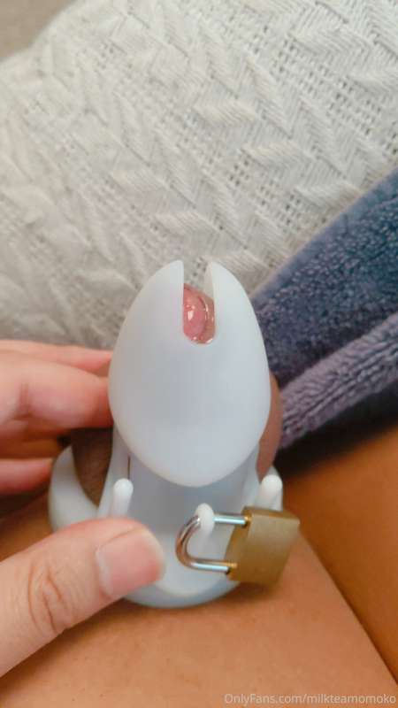 some chastity extras <3 1