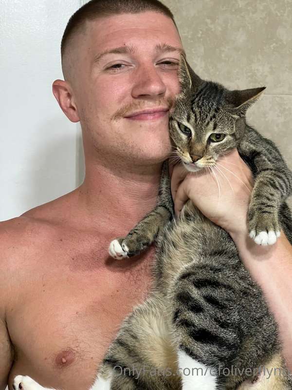 Do you love pretty kitties as much as I do?