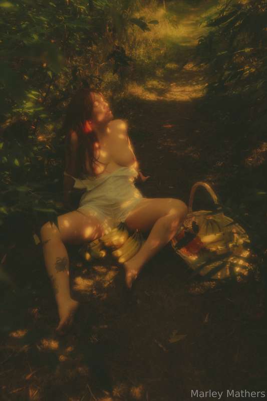 a lil picnic date with yours truly