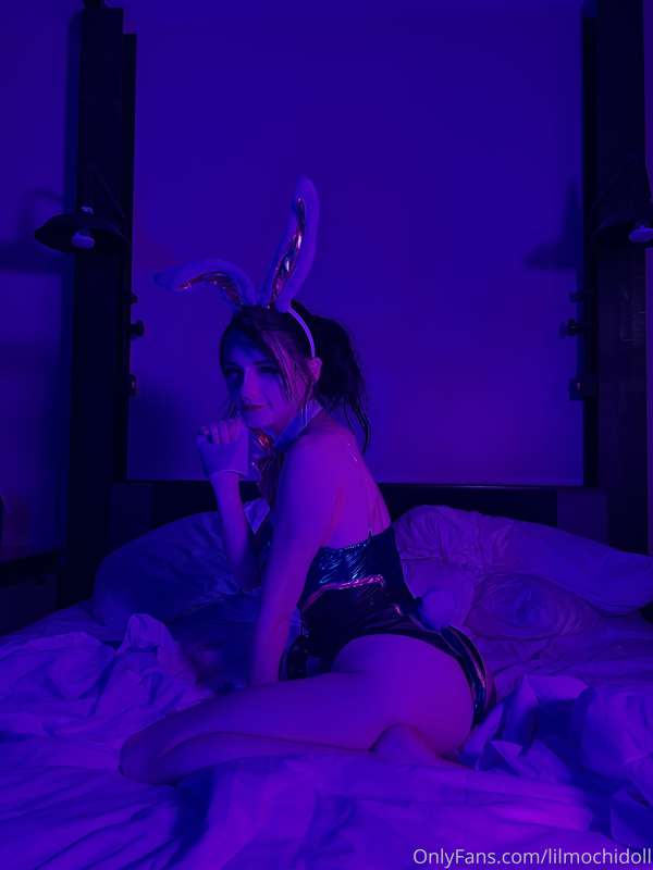 Dva bunny 10