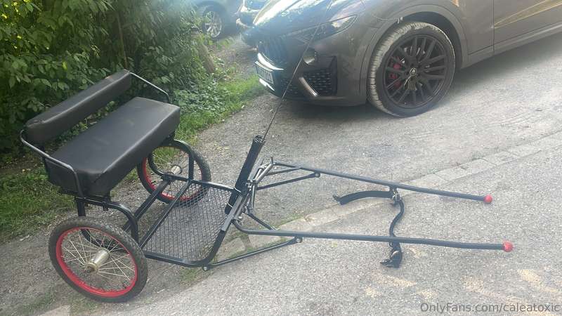 Summer excursion with my carriage. Naturally pulled in style.. 1