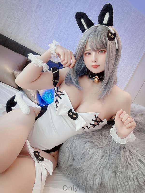 The digital cat series will start tomorrow, please look forw..