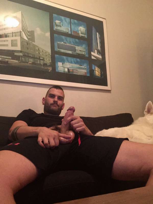 probably my favourite dick pic