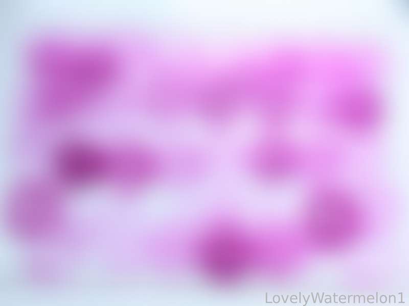 Lovelywatermelon1 - Fansly - 2025-06-17T01:08:10