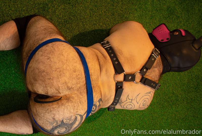 Photoshoot. @puppybearcub