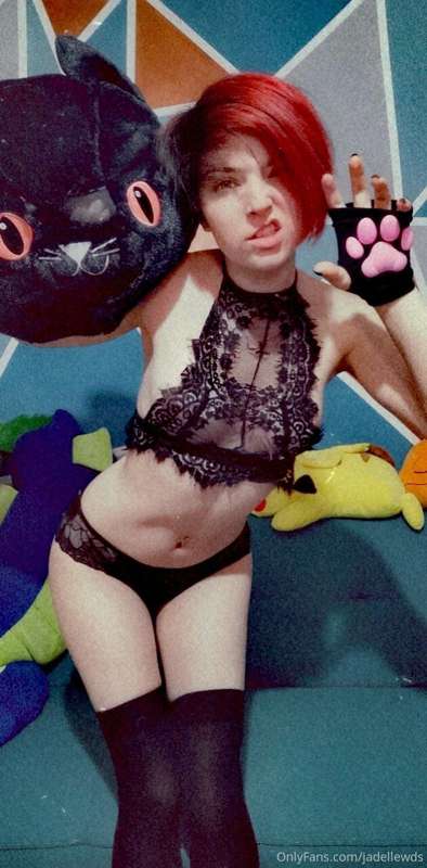 Meow 😻 2
