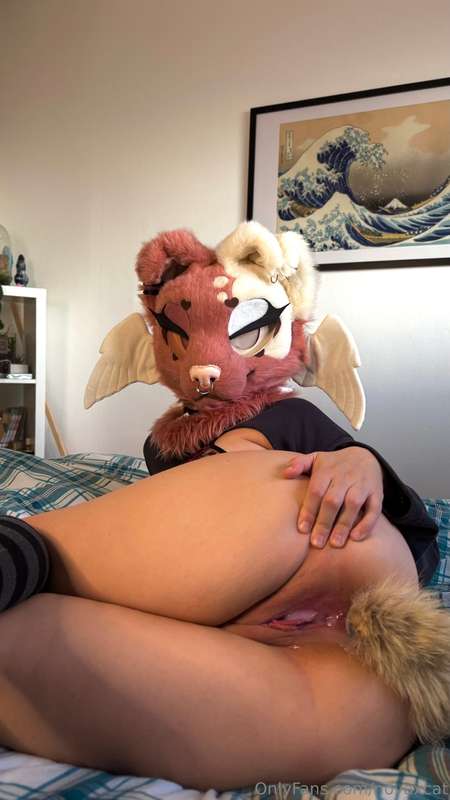 Novaxcat - Onlyfans - 31 Dec, 2024