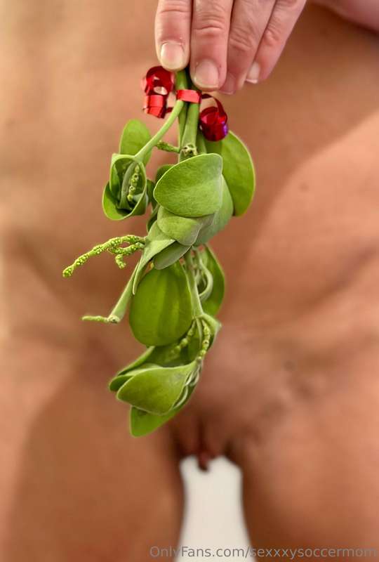 I love to kiss under the mistletoe. 😈 1