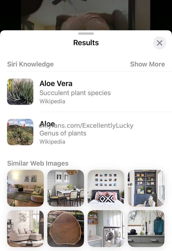 Hey Siri, please don’t objectify me and tell me I’m just goo..
