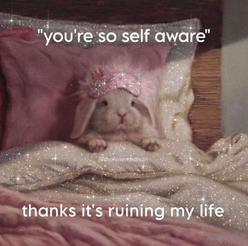 Meme dump :3 30