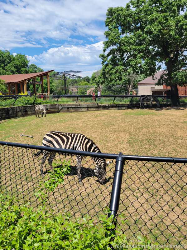 Sorry guys, no pic today cause I'm enjoying my time at the z..