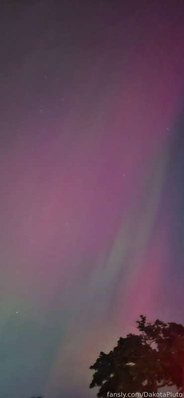 Dakotapluto - Fansly - 11 Oct, 2024 3