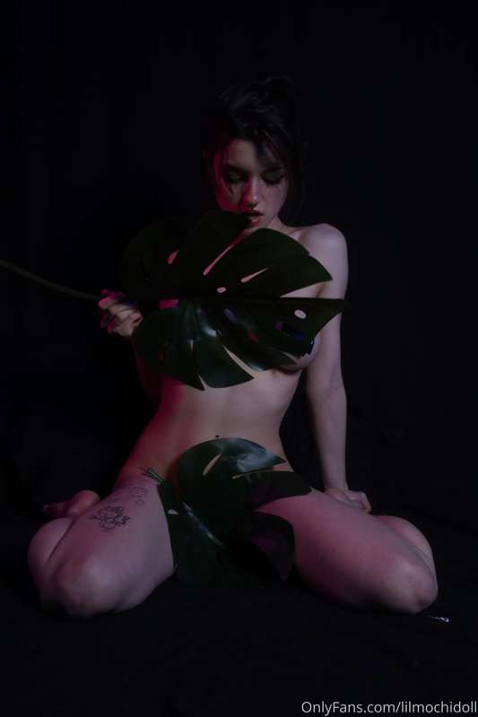 Leafy 14