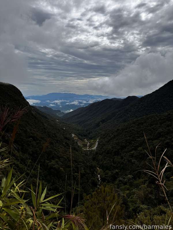 Barmales - Fansly - 27 Sep, 2024 12