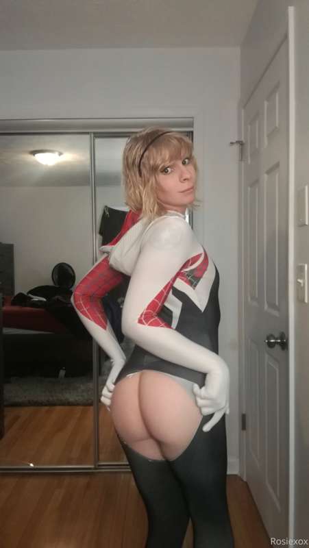 Spider Gwen Set 2/8 x :3 22