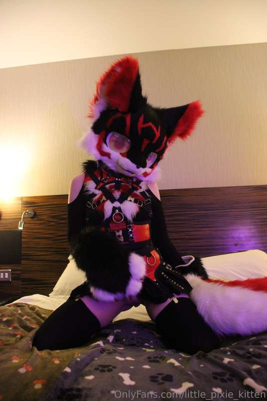 Koji pics in the hotel! ♥️🖤🤍 6
